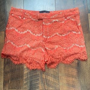 Lace Shorts